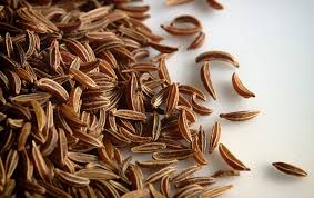 CARAWAY SEEDS/സജീരകം