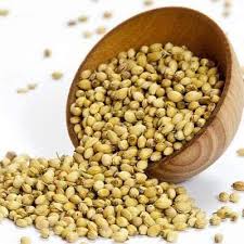 CORIANDER/മല്ലി